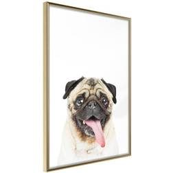 Arkiio Affisch Pug [Poster] 20x30 Poster